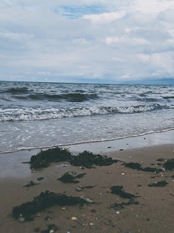 Seashore