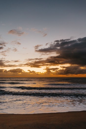 Seashore