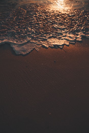 Seashore