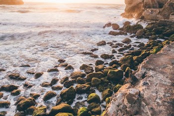 seashore