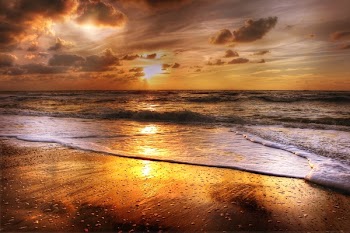 Seashore