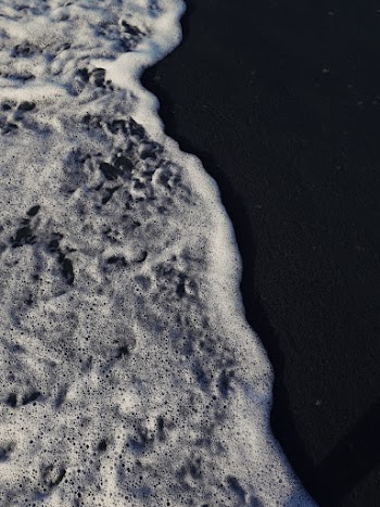 Seashore