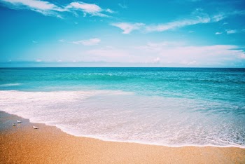 Seashore