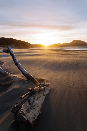 Seashore