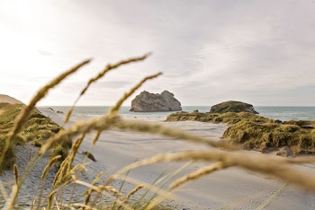 Seashore