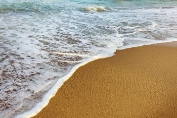 Seashore 