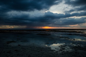 Seashore and Ocean
