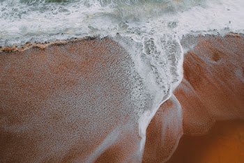 Seashore during Day