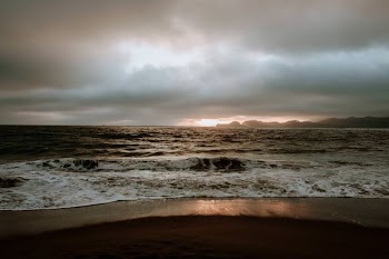 seashore during daytime