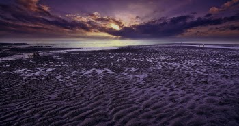 Seashore during Golden Hour