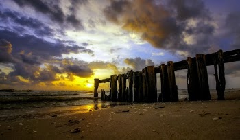 Seashore During Golden Hour