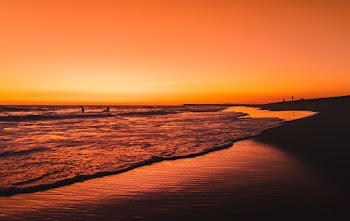 Seashore during Golden Hour