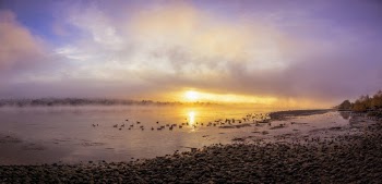 Seashore During Sunset 