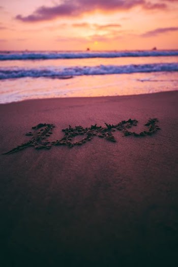 seashore during sunset
