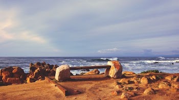 seashore near body of water