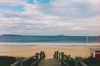 seashore near body of water at daytime