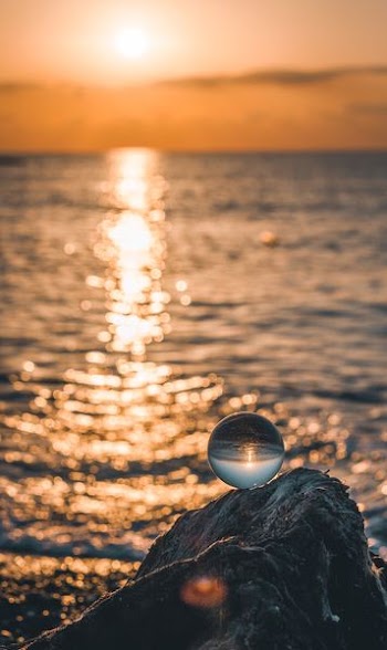 seashore photo during sunset