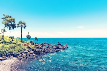 Seashore Under Blue Sky
