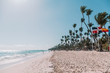 Seashore Under Blue Sky