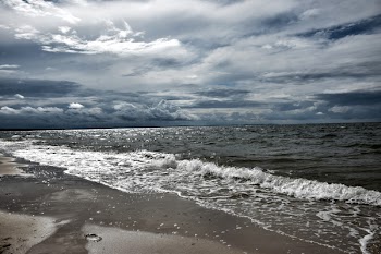 Seashore Under White Clouds
