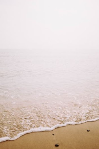 seashore with gray stones