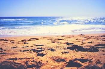 seashores overlooking sea under clear sky during daytime