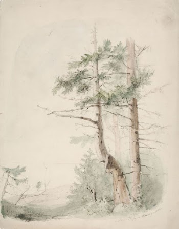 Seaside landscape "nagu-hafverö-norrby", 1853, Anders | Free Photo - rawpixel