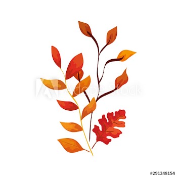season autumn branches with leafs