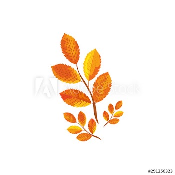 season autumn branches with leafs