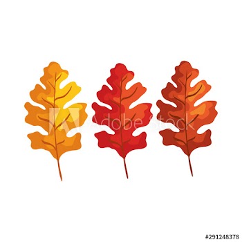 season autumn leafs icon
