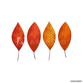 season autumn leafs icon