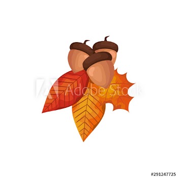 season autumn leafs with nuts icon