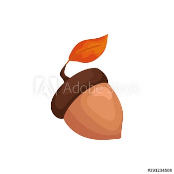 season autumn nut with leaf icon