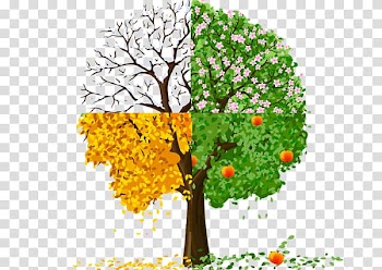 Season Autumn Spring Summer, autumn transparent background PNG clipart