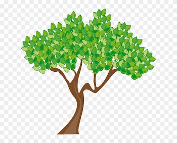 Season Summer Tree Leaves Green Trunk Wood - Spring Trees Clip Art