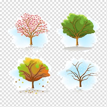 Season Tree Autumn , autumn leaves transparent background PNG clipart