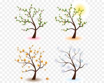 Season Tree Clip art - Vector four seasons blooms 