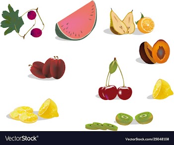 Seasonal fruit series vector image