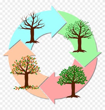 Seasons Of The Year Year Tree Nature Autumn Winter - Estações Do Ano Png