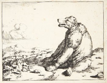 Seated bear, facing left by Marcus | Free Photo - rawpixel