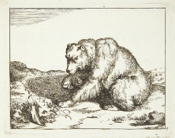 Seated bear, facing left by Marcus | Free Photo - rawpixel