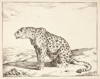 Seated dog leopard, facing left | Free Photo - rawpixel