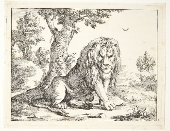 Seated lion by Marcus de | Free Photo - rawpixel