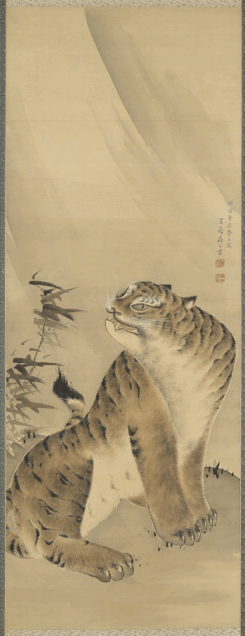 seated tiger turned to PR; | Free Photo - rawpixel