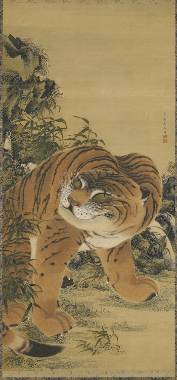 seated tiger with head turned | Free Photo Illustration - rawpixel