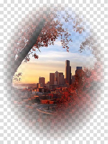 Seattle Autumn Art KGNW, Paisajes transparent background PNG clipart
