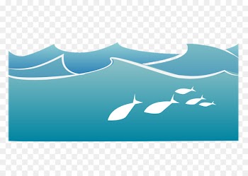 Seawater Ocean Wind wave - The water in the ocean 