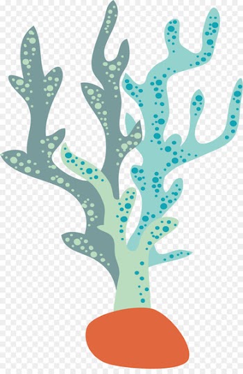 Seaweed Aquatic plant - Light - colored seaweed vector 