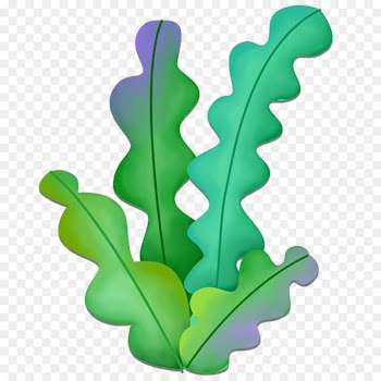 Seaweed Cartoon - Cartoon ribbon 