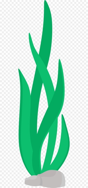 Seaweed Clip art - sea 